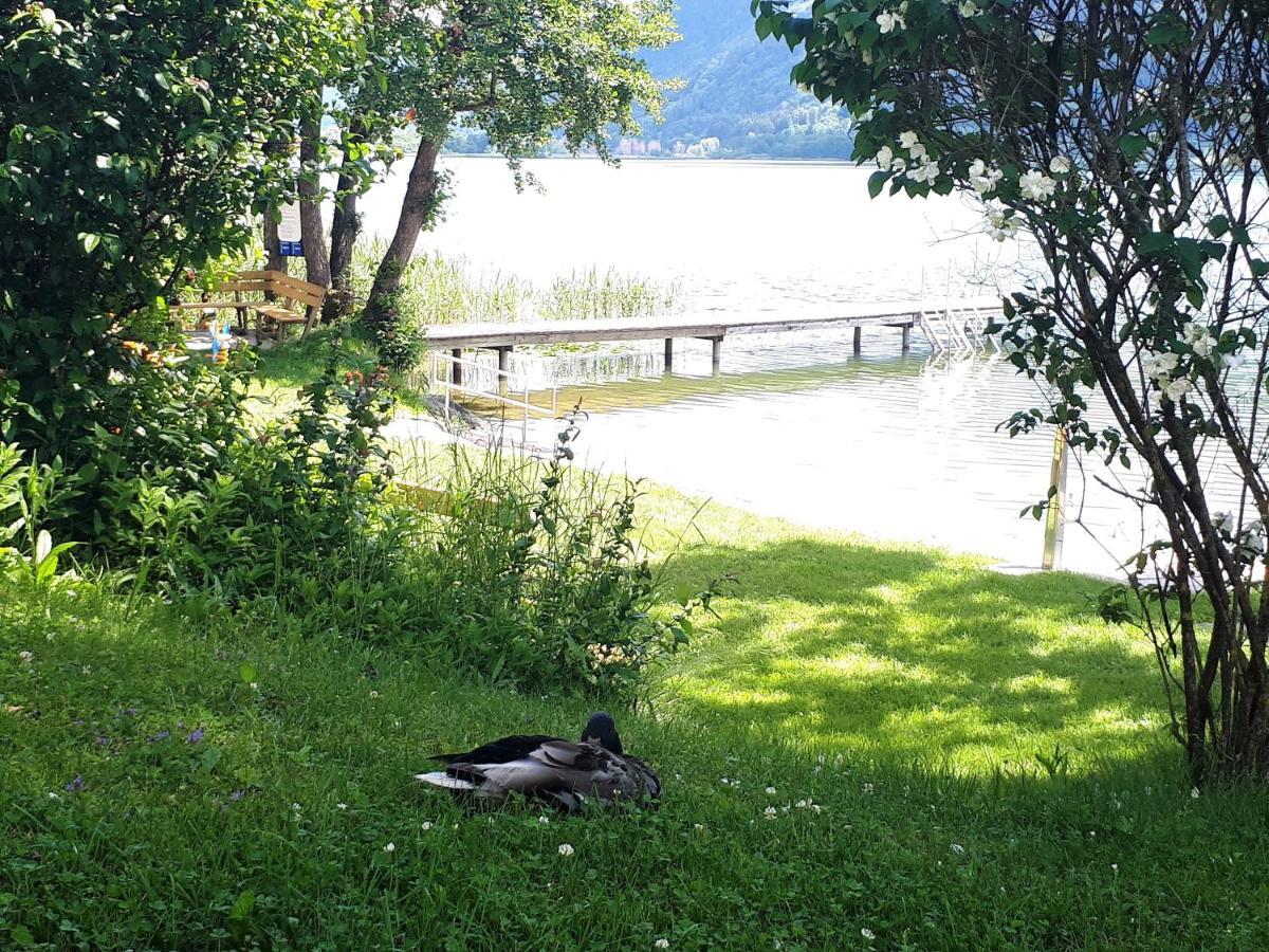 Maren Seeblick Appartement Haus Haensel&Gretel Direkt Am Ossiacher See Mit Hallenbad Stiegl Екстер'єр фото